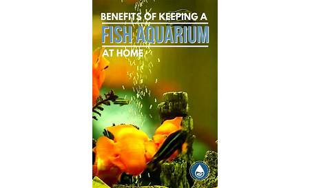 Benefits of Fish keeping